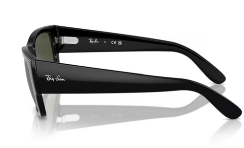 RayBan CARLOS RB0947