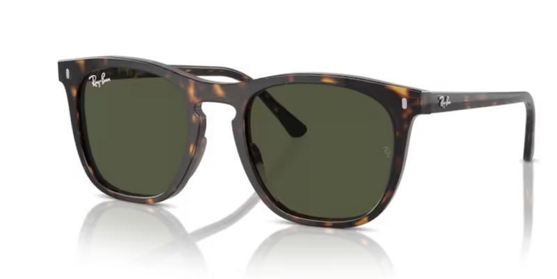 Ray Ban RB2210