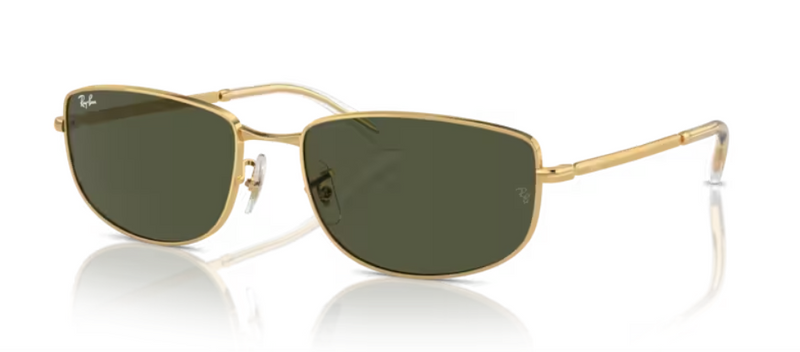 Ray Ban RB3732