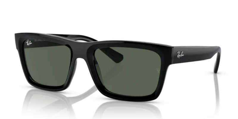 RayBan WARREN RB4396