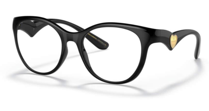 Dolce&Gabbana  DG5069 501